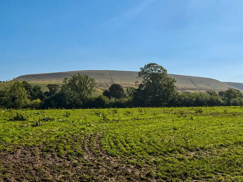 Pendle Hill from Longlands Wood in Downham