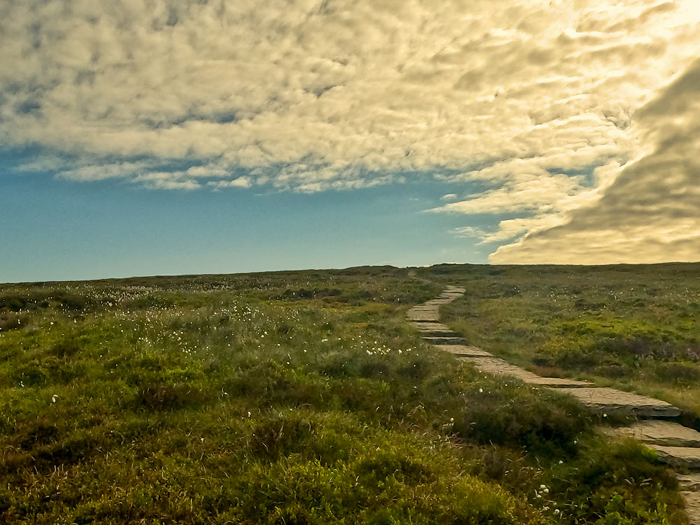 The flagged path on the way to the summit of Pendle Hill