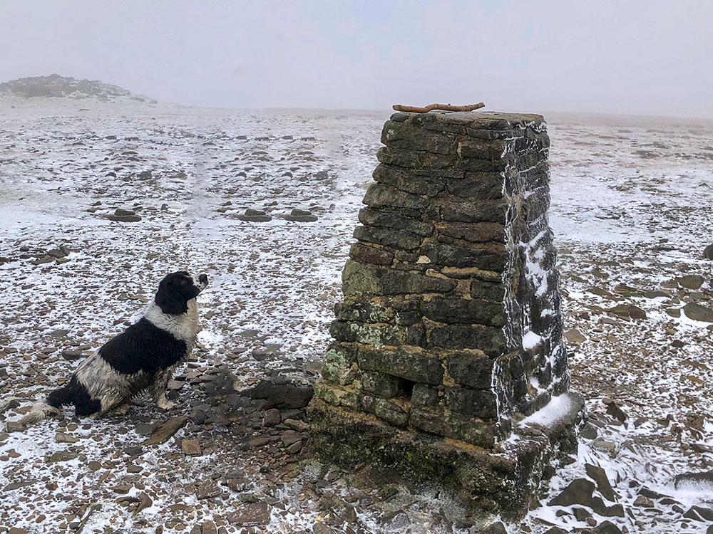 The stick just appears out of reach on the trig point
