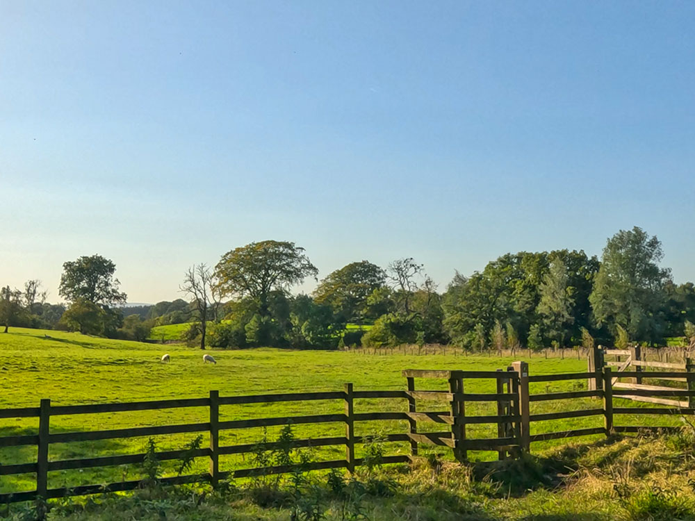 Pass through the next kissing gate and head across the field towards the tallest tree ahead, heading along roughly parallel with the fence along the right