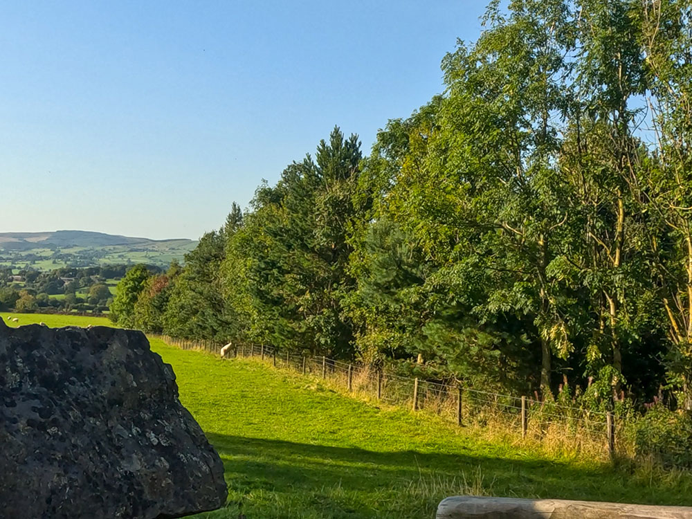 Once over the stile, head alongside the fence