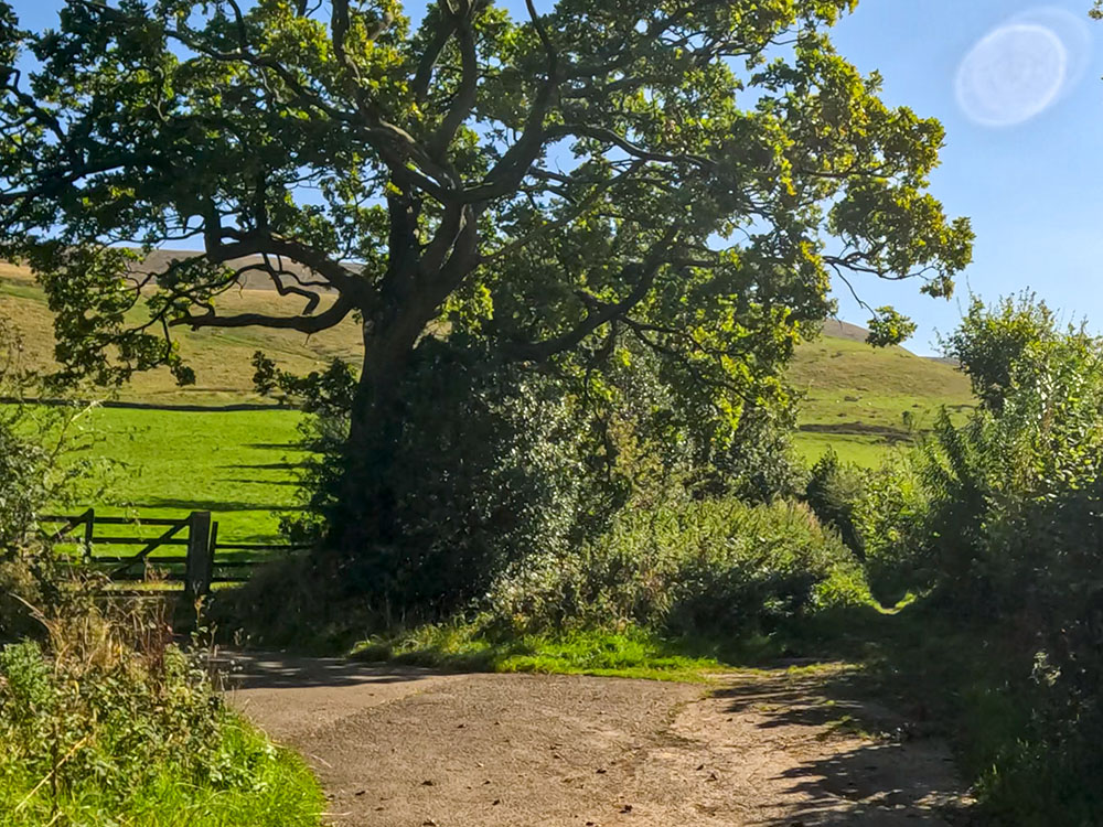 As the lane bends around to the left over a cattle grid towards Moorside, just keep straight on up the narrow path