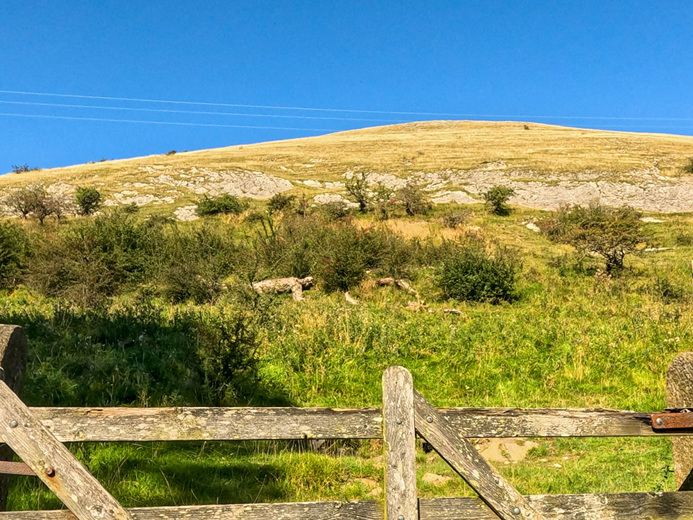 Looking back towards Worsaw Hill from the stile at Worsaw End House