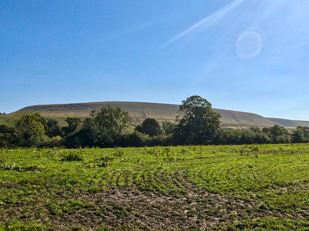 Looking over towards Pendle Hill from Longlands Wood