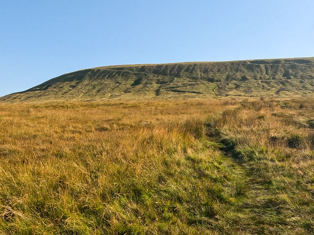 Looking back up towards Pendle Hill from the fencing on the path