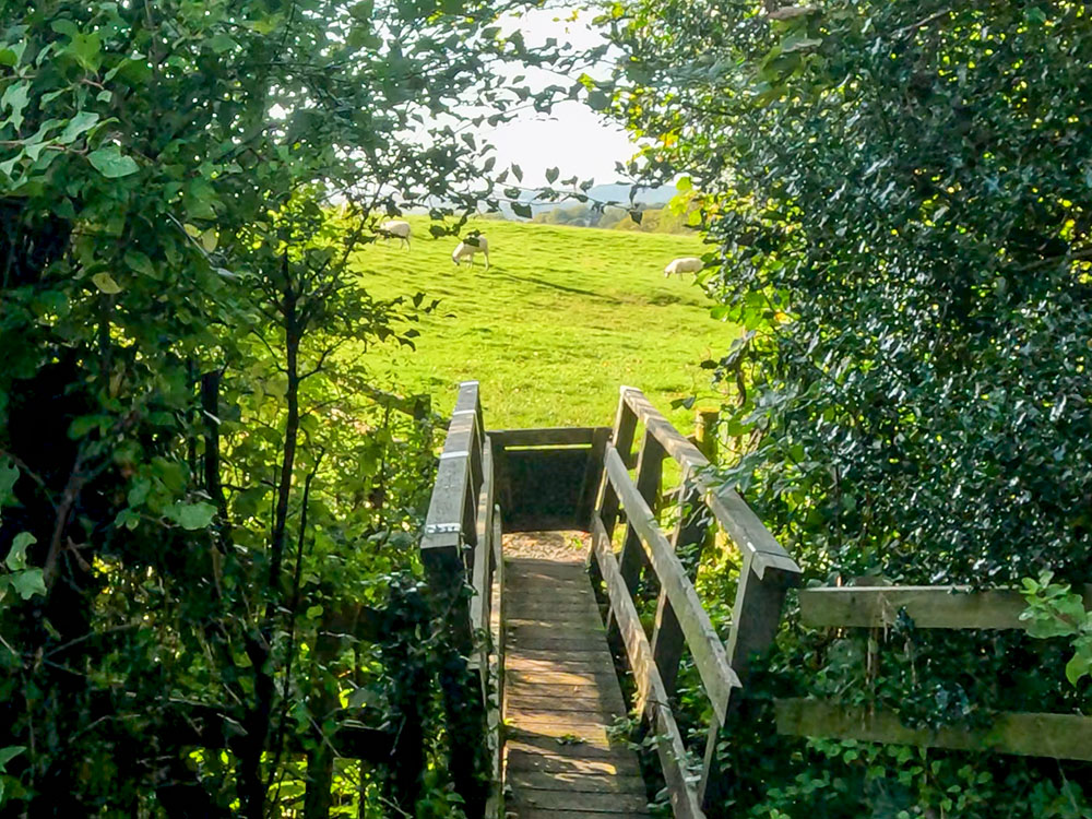 Pass over the small wooden footbridge, and head across the next field, again keeping close to the fence