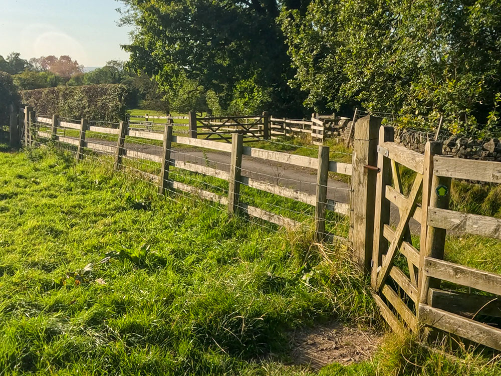 Pass through the kissing gate, head left a few yards along the lane, and turn right through the next gate