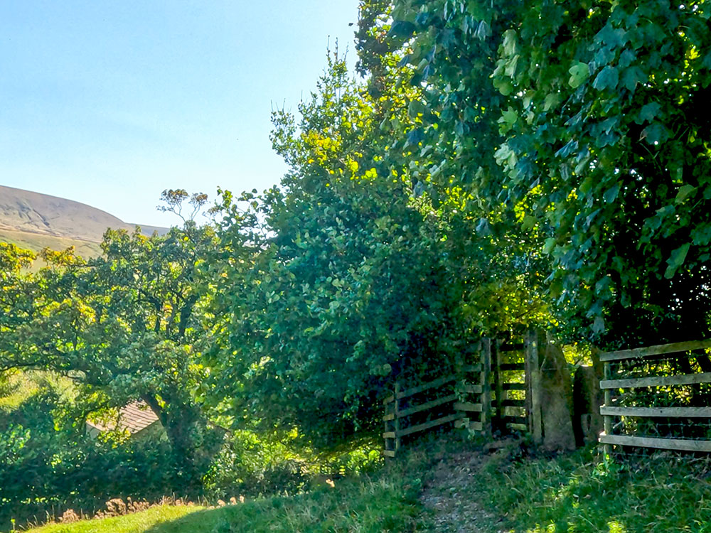 Pass through the next gate stile. As an alternative, heading down to the left, drops down onto the road, which is met shortly