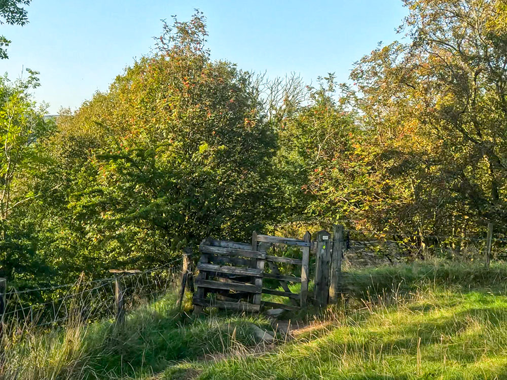 Pass through the wooden kissing gate to head down to Pendle Road