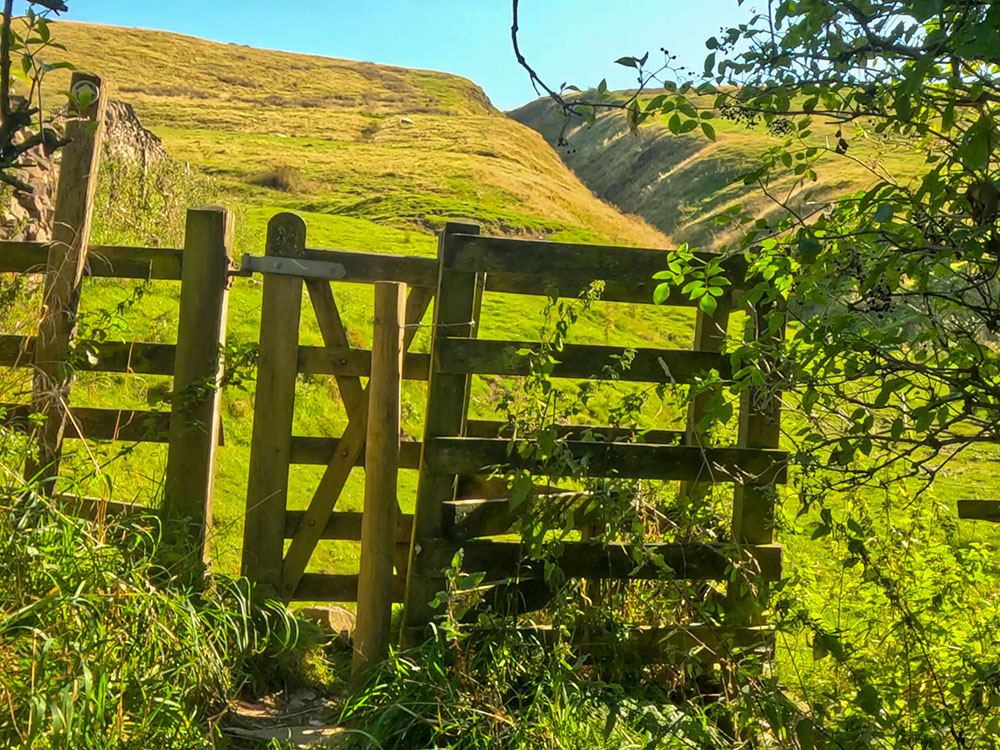 After about 200 metres on the narrow path, pass through this wooden stile with Burst Clough directly ahead