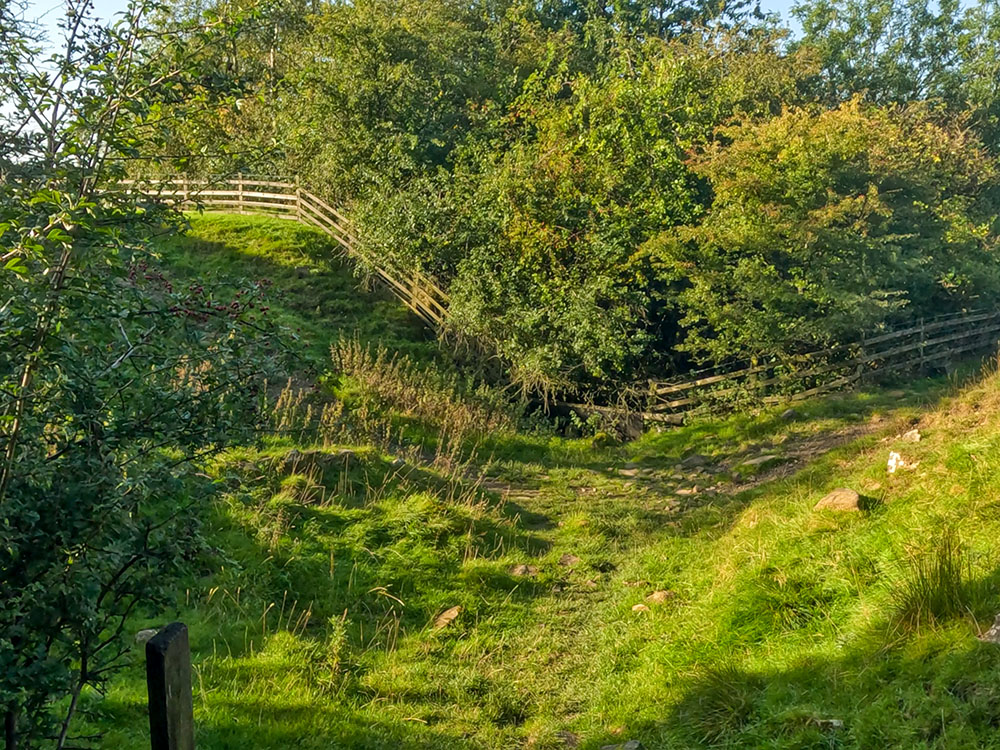 Just after a wooden stile, the path splits. Take the left-hand fork to head up the side of the fence