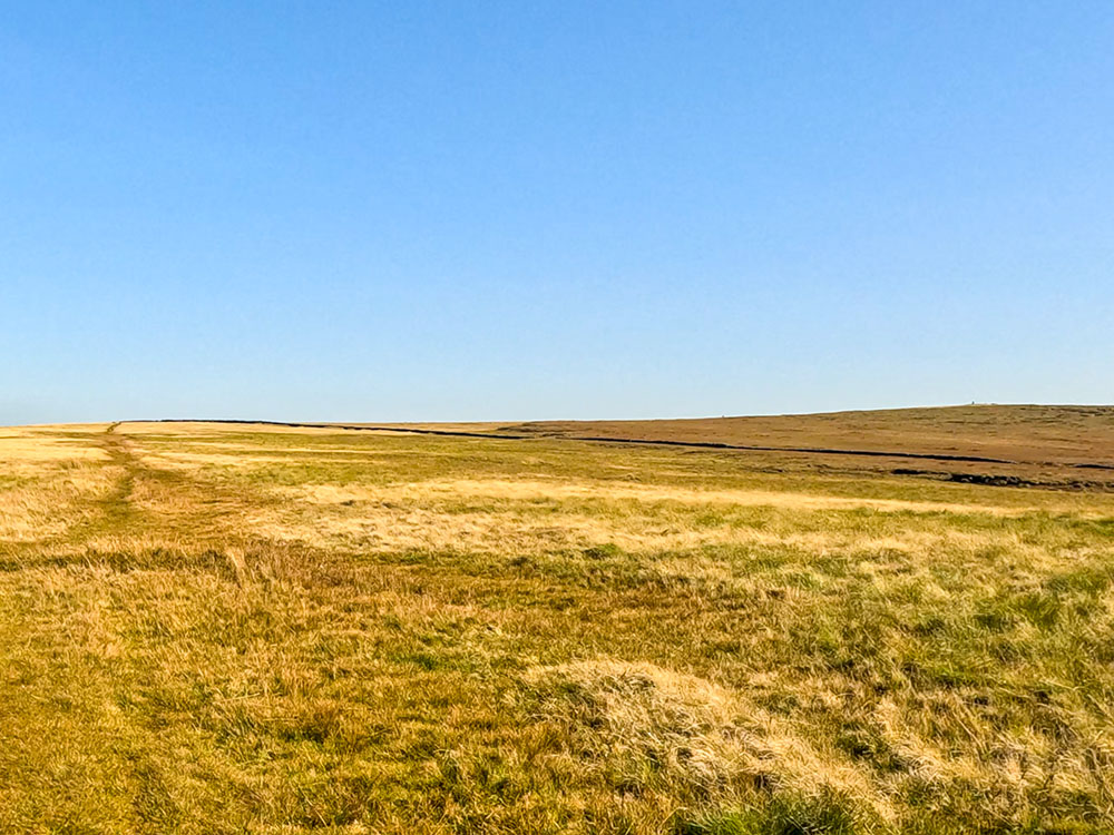 The grassy path across Pendle Hill followed for about one kilometre until a wall is reached, with Pendle Hill's trig point visible on the horizon