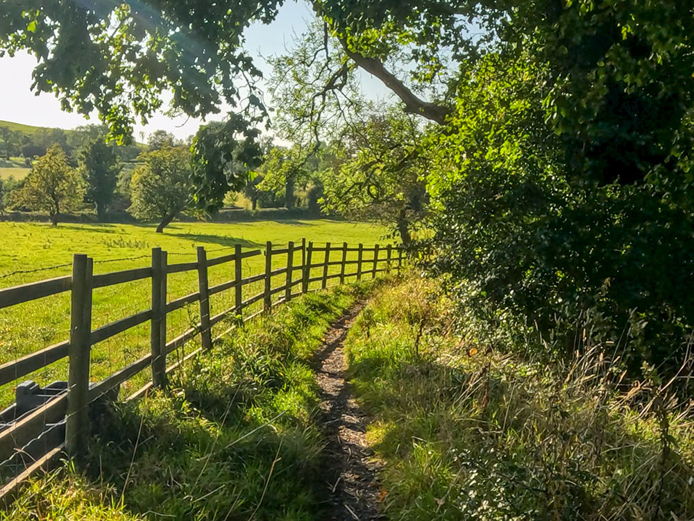 The path heads alongside the right hand side of the fence