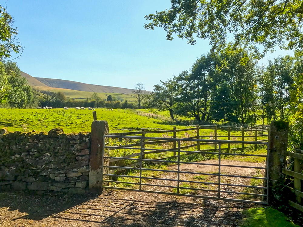 The path heads through a metal gate