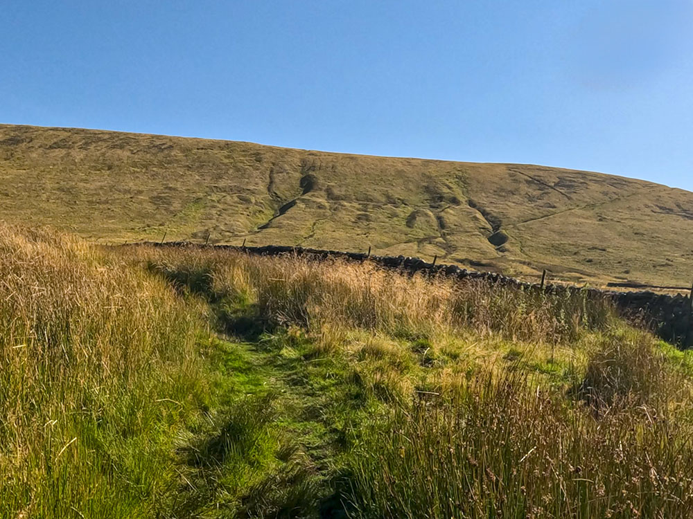 The path pulls in just to the left of a wall, as it winds its way along through the reeds