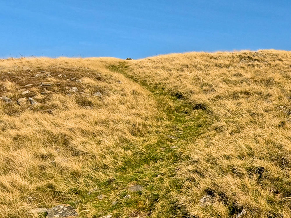 The steeper uphill path, as it heads towards a cairn on the horizon