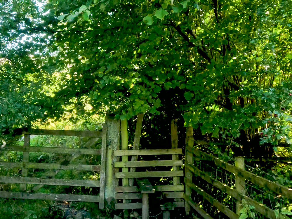 The wooden stile in the corner of the field, over which the road is met