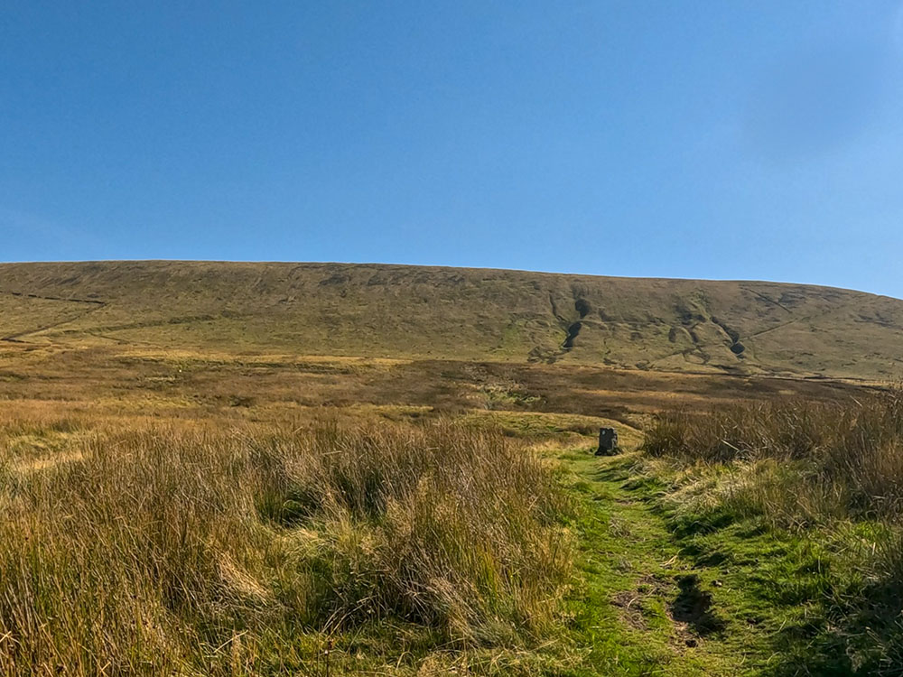 As the path starts to flatten at the top of Burst Clough, Worston Moor on the side of Pendle Hill lies directly ahead