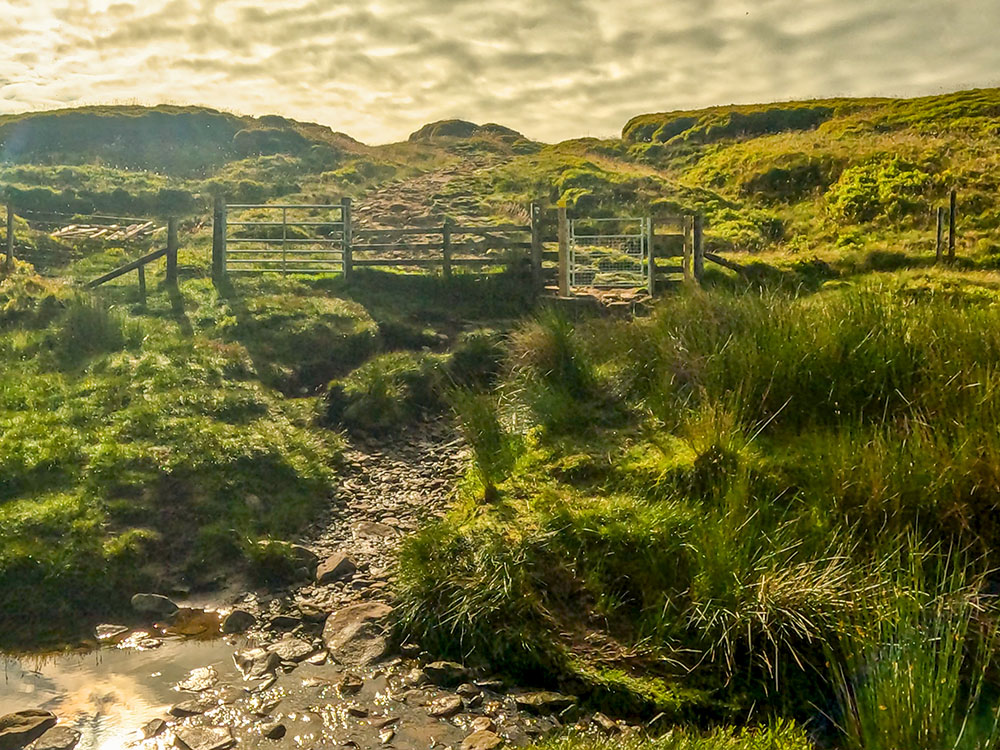 Cross the stream and pass through the gate to head uphill away from the stream