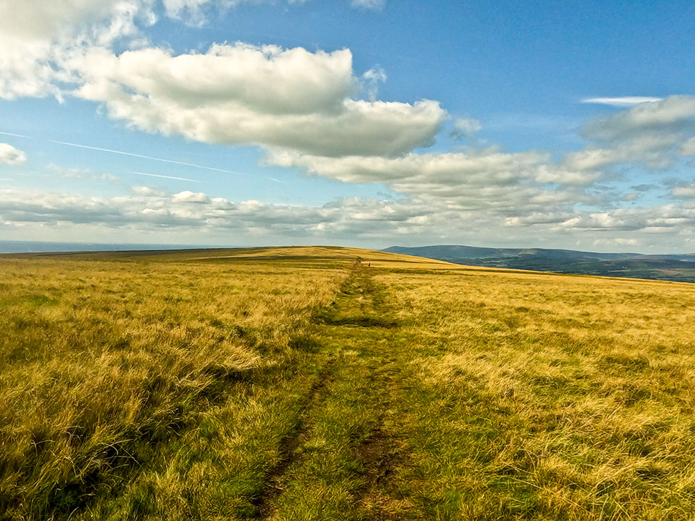 The wide grassy path following the Nick of Pendle sign