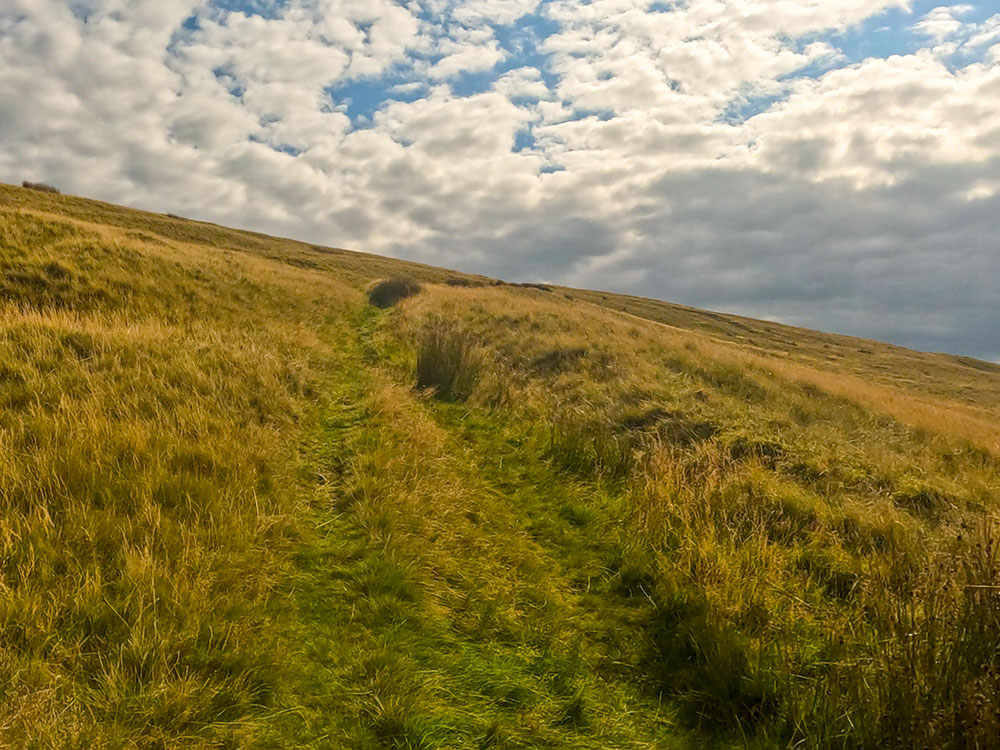 The path heading back up onto Pendleton Moor