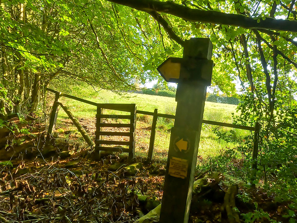One of the Pendle Way footpath signs in the woods